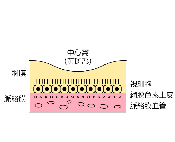 正常な状態